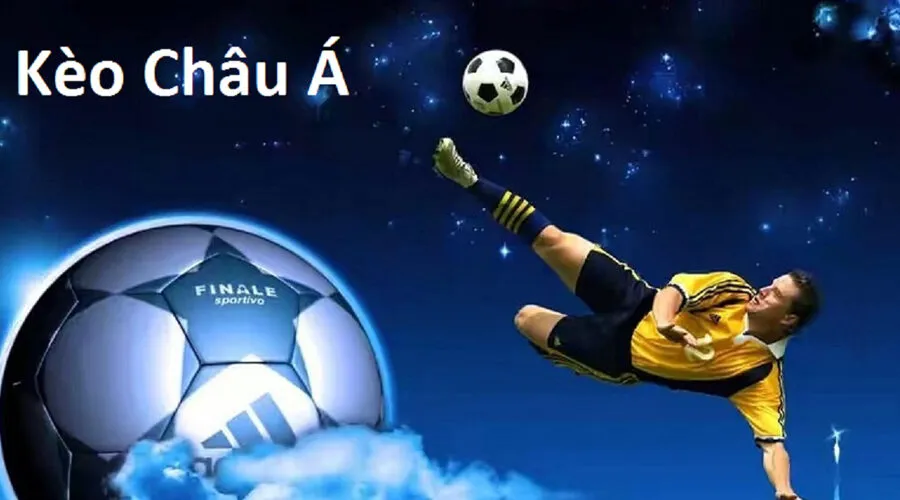 Thời điểm hay để chọn cho đội cửa trên hoặc cửa dưới