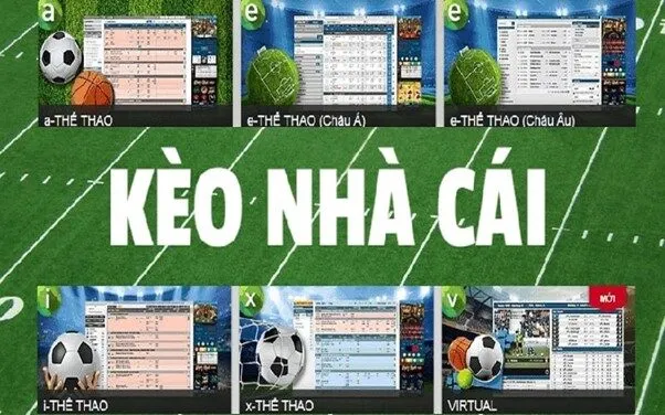 Nguyên tắc tối ưu chiến thắng