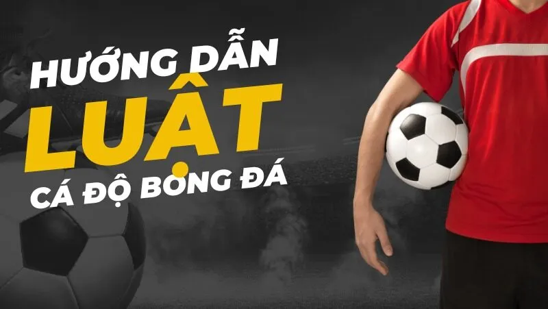 luật cá độ bóng đá cơ bản