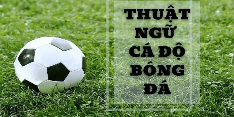 Các huật ngữ cá độ bóng đá cần biết dành cho tân binh